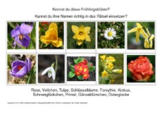 Blumenrätsel-Seite-1-3.pdf